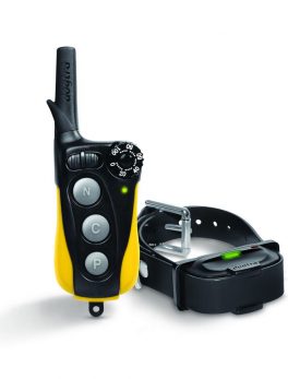 Dogtra iQ MINI Remote Trainer