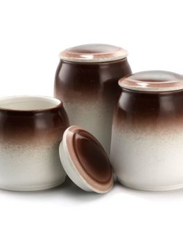 Elama 3 Piece Ceramic Kitchen Canister Collection in Toasted Coconut