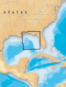 Navionics Platinum+ - East Gulf of Mexico - microSD/SD