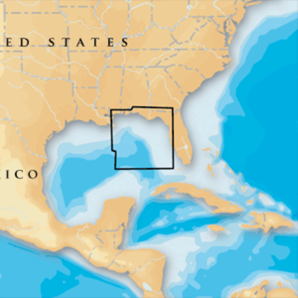 Navionics Platinum+ - East Gulf of Mexico - microSD/SD