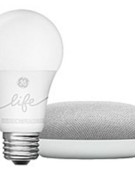 Google GA00518-US Home Mini Smart Light Starter Kit - White, Chalk Grey