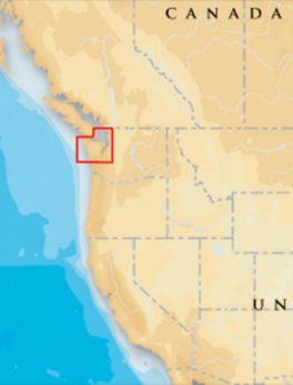 Navionics Platinum+ - Puget Sound - microSD/SD