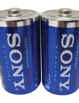 Sony AM1-B2D STAMINA PLUS D Alkaline Batteries, 2 pk