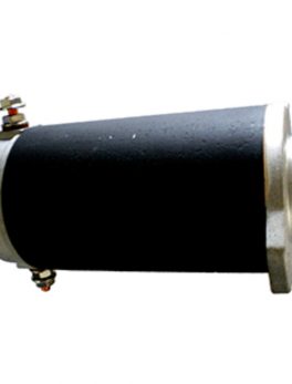 Maxwell P10068 Motor - 12V