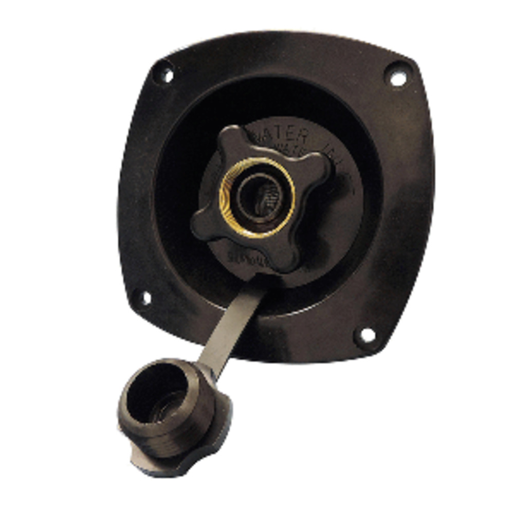Shurflo by Pentair Water Pressure Regulator - Wall Mount - Black - 65 PSI