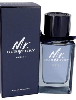 Mr Burberry Indigo By Burberry Eau De Toilette Spray 5 Oz For Men