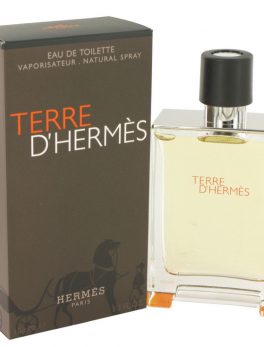 Terre D'hermes By Hermes Eau De Toilette Spray 3.4 Oz For Men
