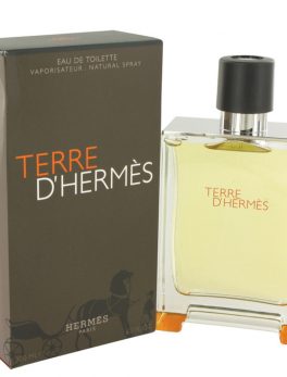 Terre D'hermes By Hermes Eau De Toilette Spray 6.7 Oz For Men