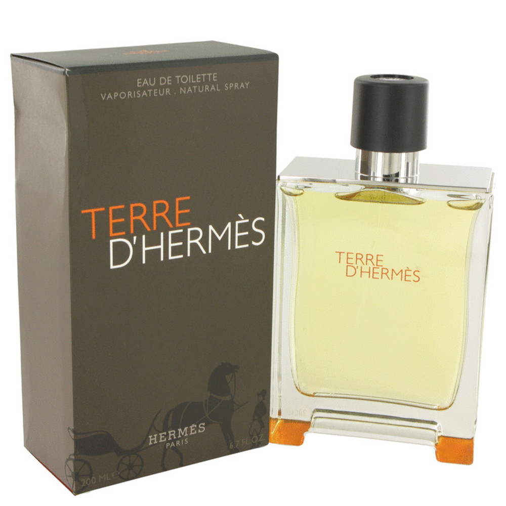 Terre D'hermes By Hermes Eau De Toilette Spray 6.7 Oz For Men