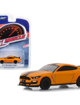 2019 Ford Mustang Shelby GT350R Orange Fury Metallic with Black Stripes Greenlight Muscle Series 22 1/64 Diecast Model Car by Greenlight 13250F