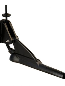 Raymarine CPT-100 DVS Transom Mount CHIRP Transducer