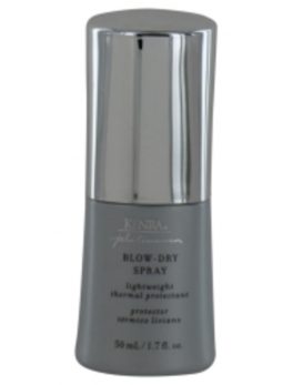 Kenra Platinum Blow Dry Spray 1.7 Oz For Anyone