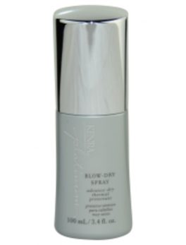 Kenra Platinum Blow Dry Spray 3.4 Oz For Anyone