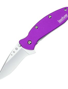 Kershaw Scallion Assisted 2.5 in BB Plain Purple Aluminum