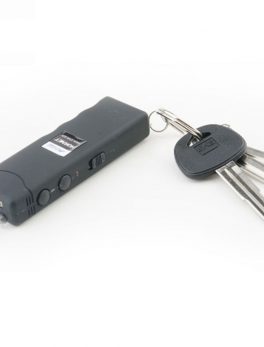 Guard Dog Hornet Keychain Stun Gun and LED Flashlight Black