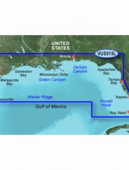 Garmin BlueChart g3 Vision HD - VUS515L - Brownsville - Key Largo - microSD/SD