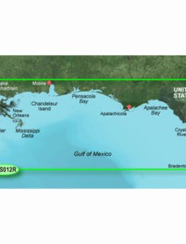 Garmin BlueChart g3 Vision HD - VUS012R - Tampa - New Orleans - microSD/SD