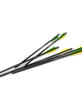 Excalibur Firebolt Carbon Arrows 20 in.6pk 22CAV-6