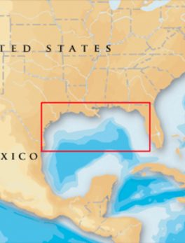 Navionics Platinum+ - Gulf Of Mexico - microSD/SD
