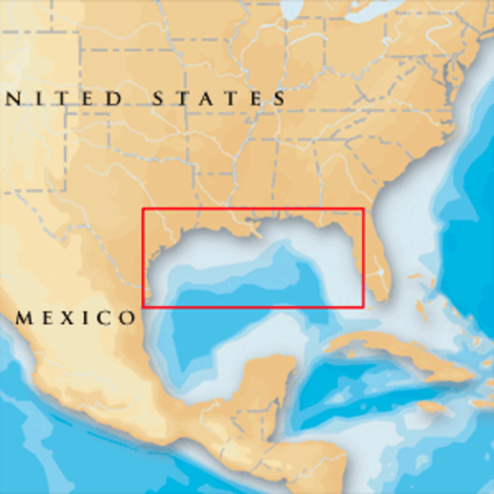 Navionics Platinum+ - Gulf Of Mexico - microSD/SD