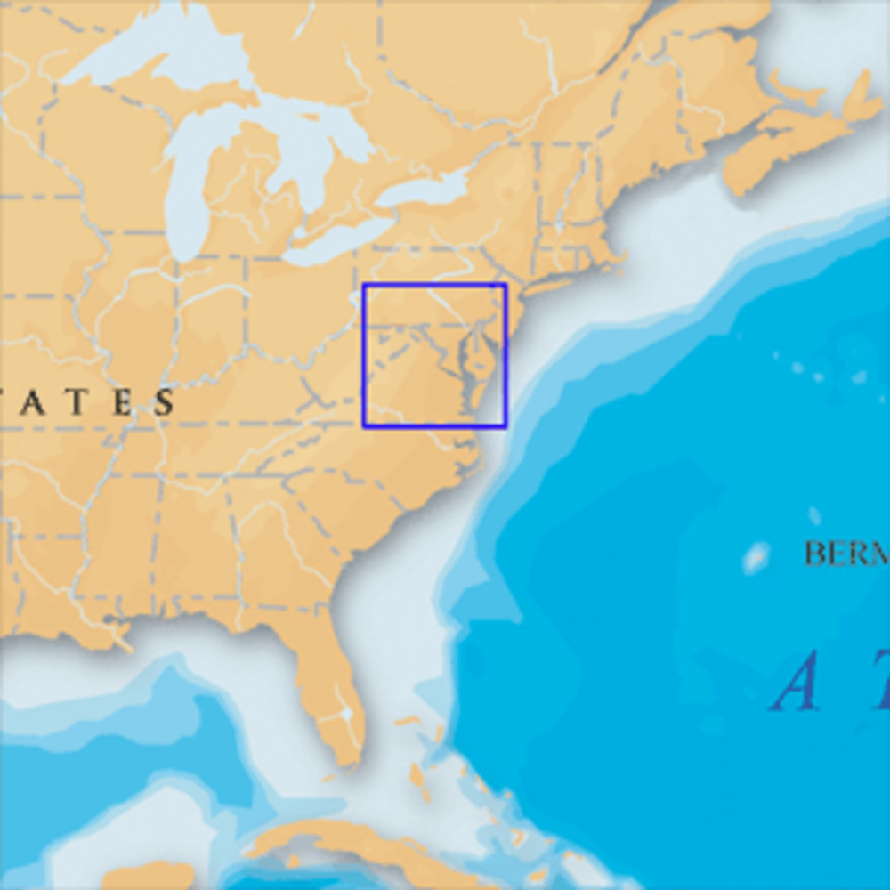 Navionics Platinum+ Chesapeake Bay - microSD/SD