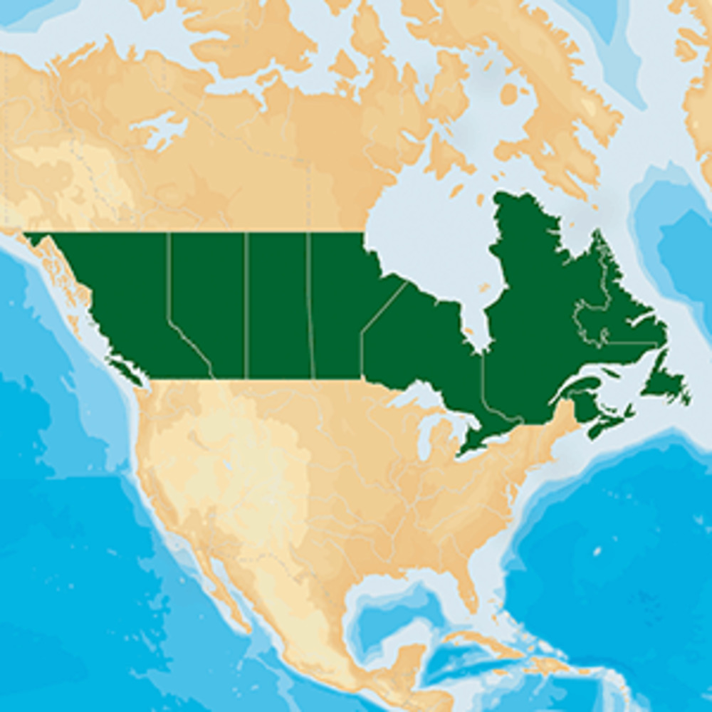 Navionics HotMaps Platinum Lake Maps - Canada - microSD/SD