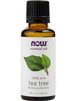 Essential Oils Now Tea Tree Oil 1 Oz For Anyone