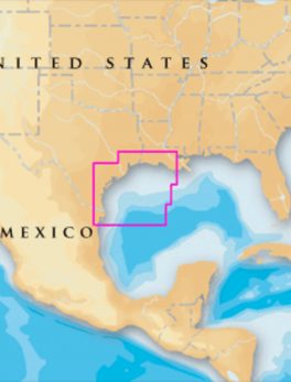 Navionics Platinum+ - West Gulf of Mexico - microSD/SD