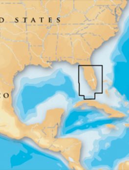 Navionics Platinum+ - South and Central Florida - microSD/SD
