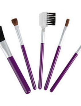 Exceptional-because You Are Set-5 Piece Travel Makeup Brush Set For Women