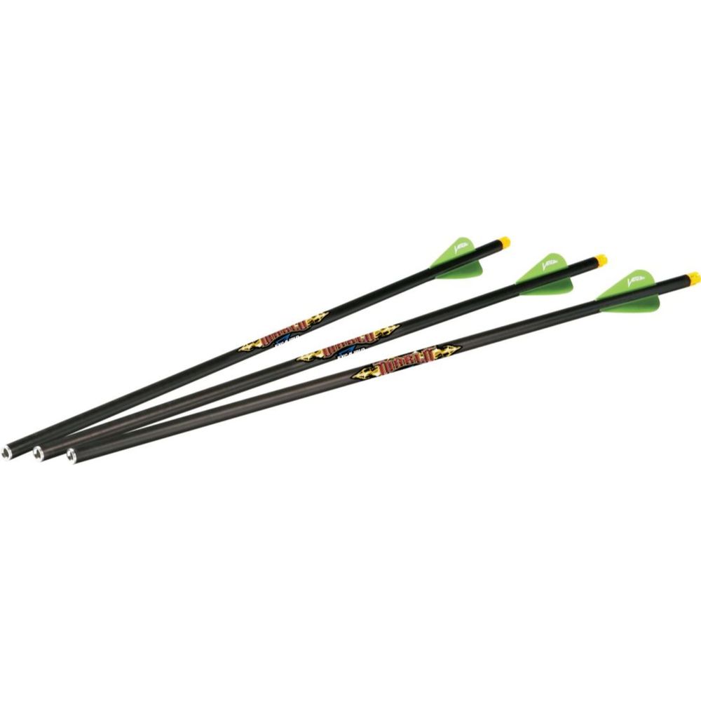Excalibur Diablo 18in. Illum Carbon Arrows (for Matrix) 3pk