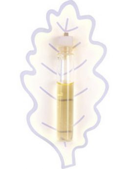 Ines De La Fressange Eau De Parfum Vial On Card For Women